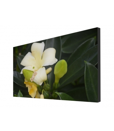 Buy FULTAPE True Zero Bezel Video Walls, 0 mm Screen-to-Screen Gap, 4K UHD/1080P HD Resolution
