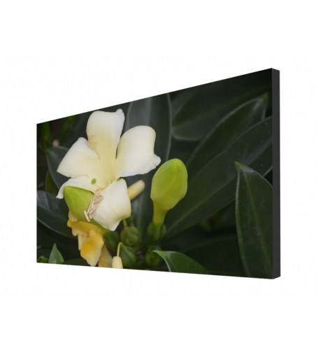 Buy FULTAPE True Zero Bezel Video Walls, 0 mm Screen-to-Screen Gap, 4K UHD/1080P HD Resolution