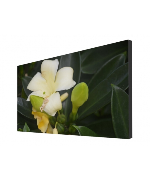 Buy FULTAPE True Zero Bezel Video Walls, 0 mm Screen-to-Screen Gap, 4K UHD/1080P HD Resolution