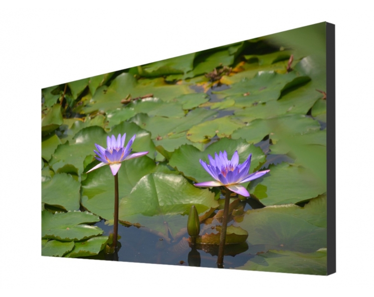 Buy FULTAPE True Zero Bezel Video Walls, 0 mm Screen-to-Screen Gap, 4K UHD/1080P HD Resolution