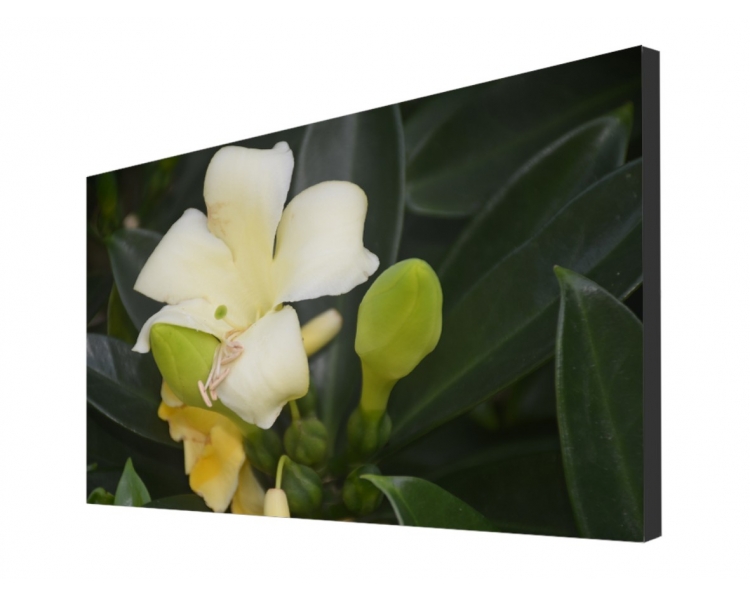 Buy FULTAPE True Zero Bezel Video Walls, 0 mm Screen-to-Screen Gap, 4K UHD/1080P HD Resolution